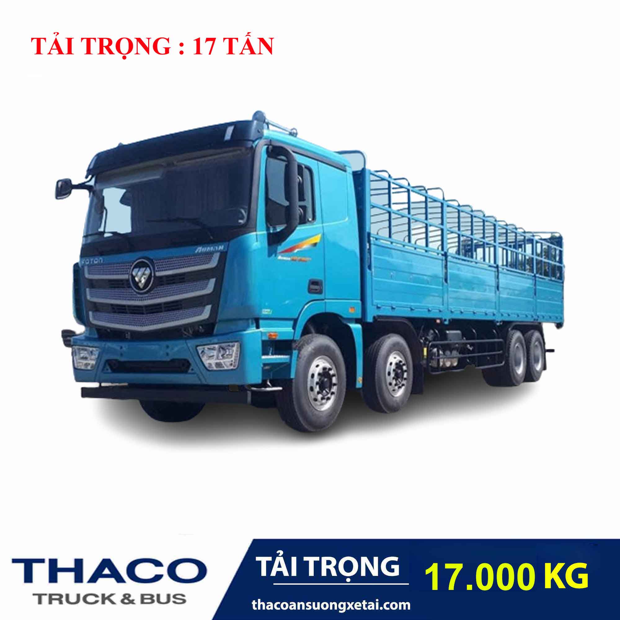 C300-33 C300 33