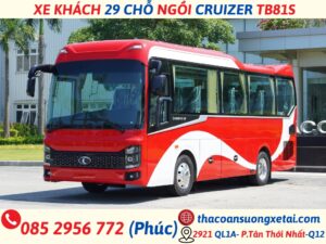 cruizer 81s - 220Ps (2)